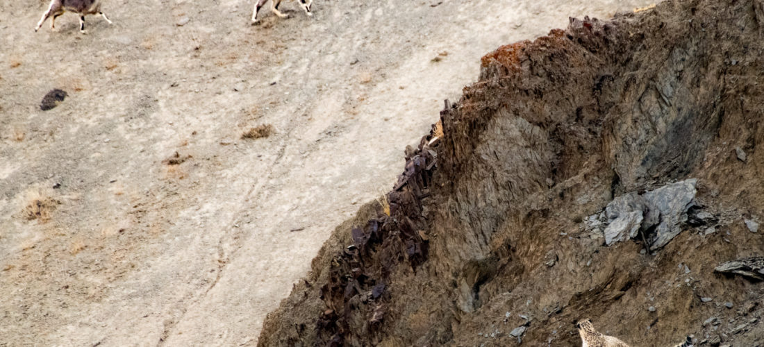 Session 4: Shaping Relevant Framework(s)