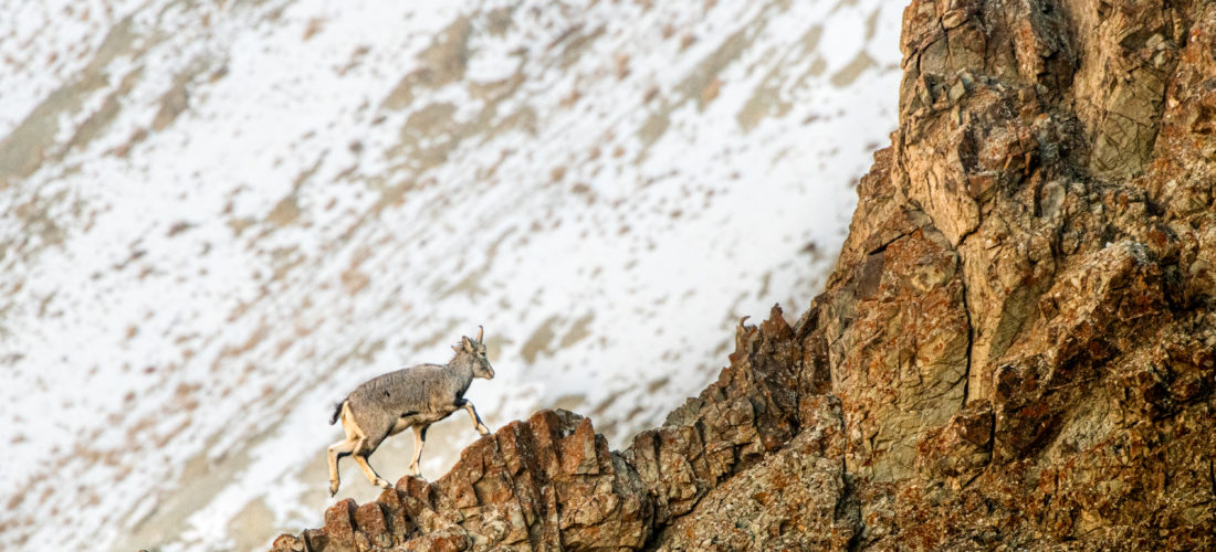 Session 3: Risks and Opportunities