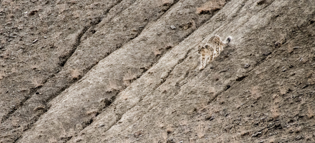Session 2: Community Conservation & Tourism
