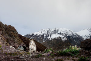 Photo by Behzad Larry