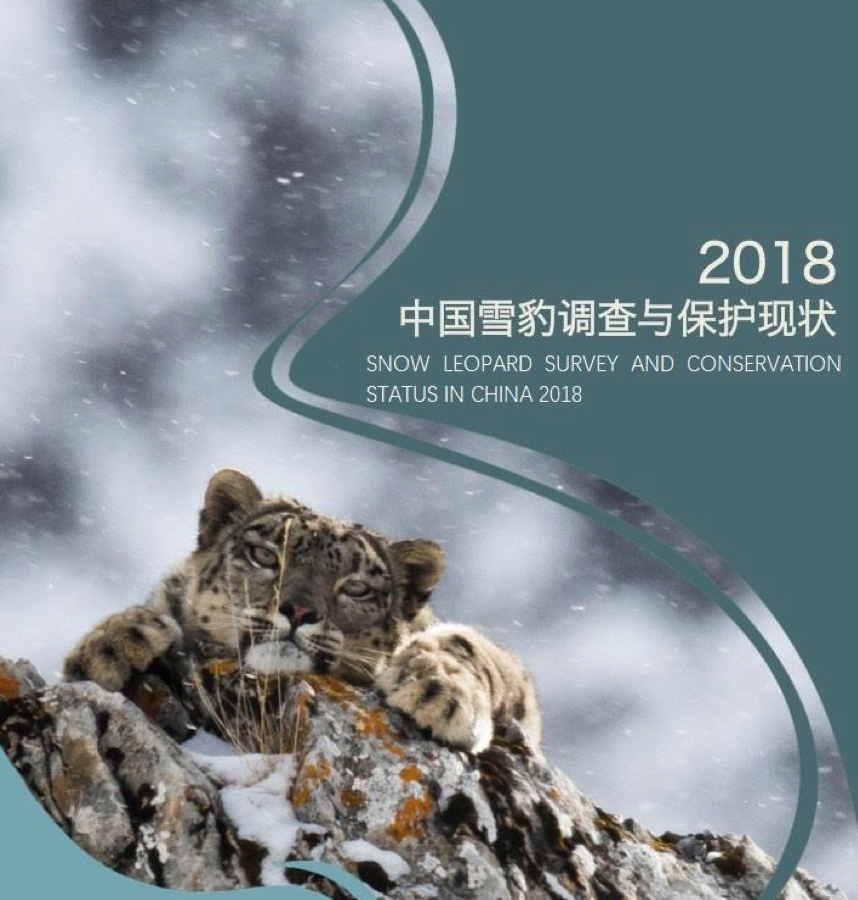 Status of snow leopards in China Report