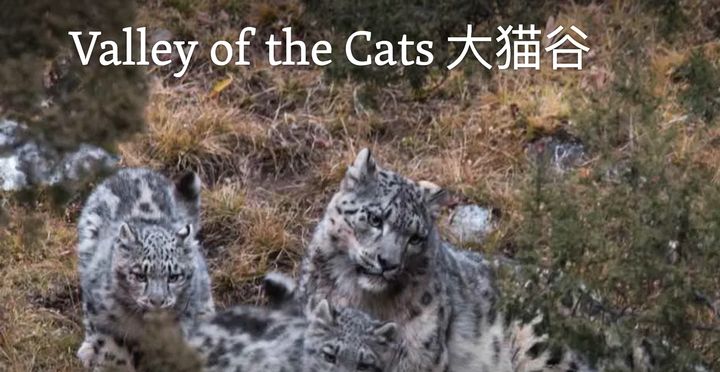 Valley of the Cats; community-based conservation tourism
