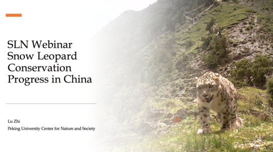 Webinar by Dr Lu Zhi - Progress in Snow Leopard Conservation May 12, 2020