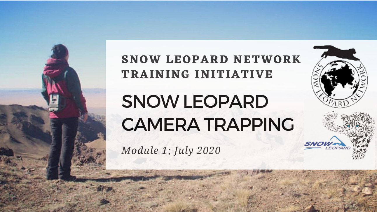 SLN Training Initiative: Snow Leopard Camera Trapping