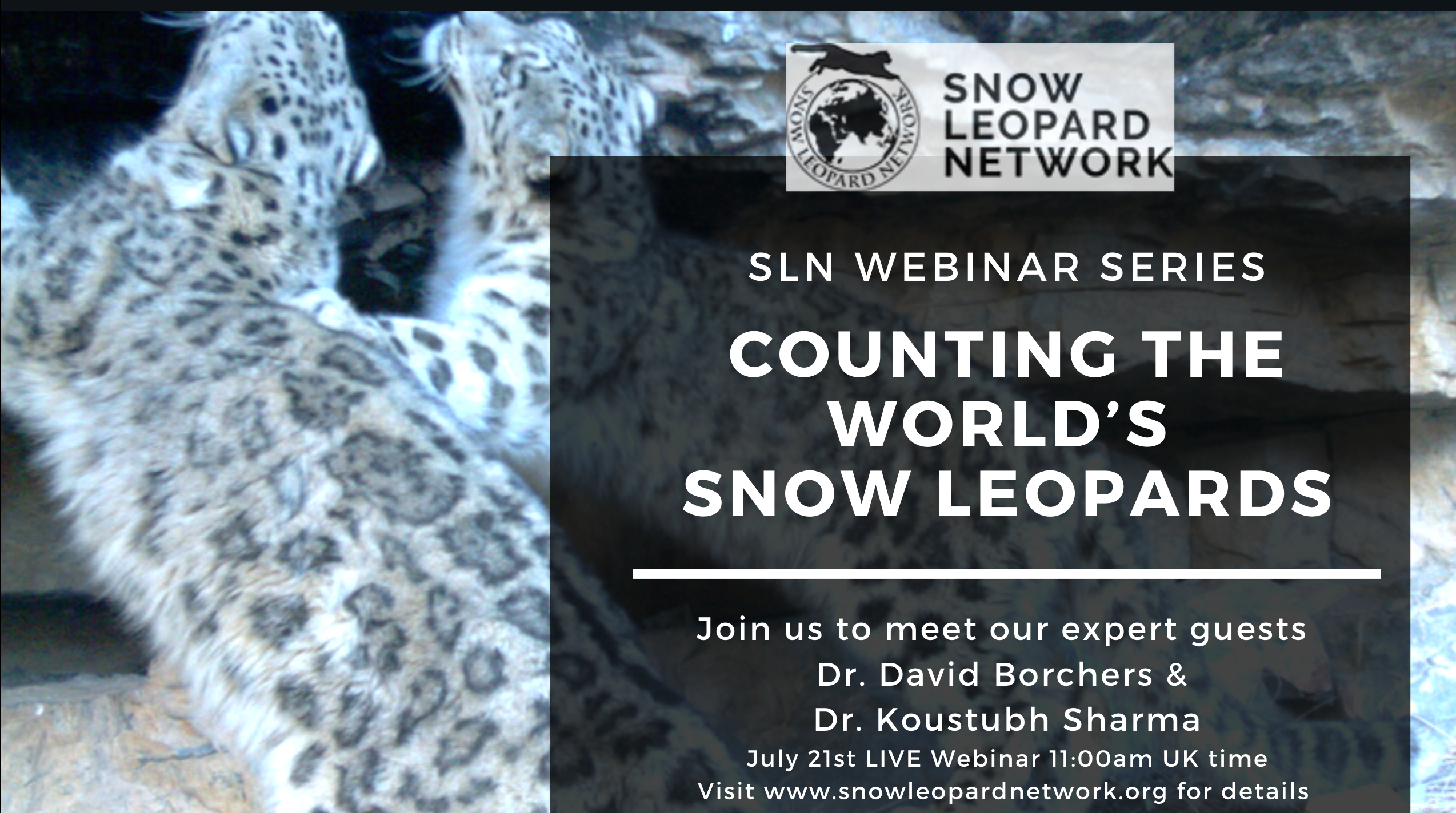 SLN Webinar – Special Guest – PAWS