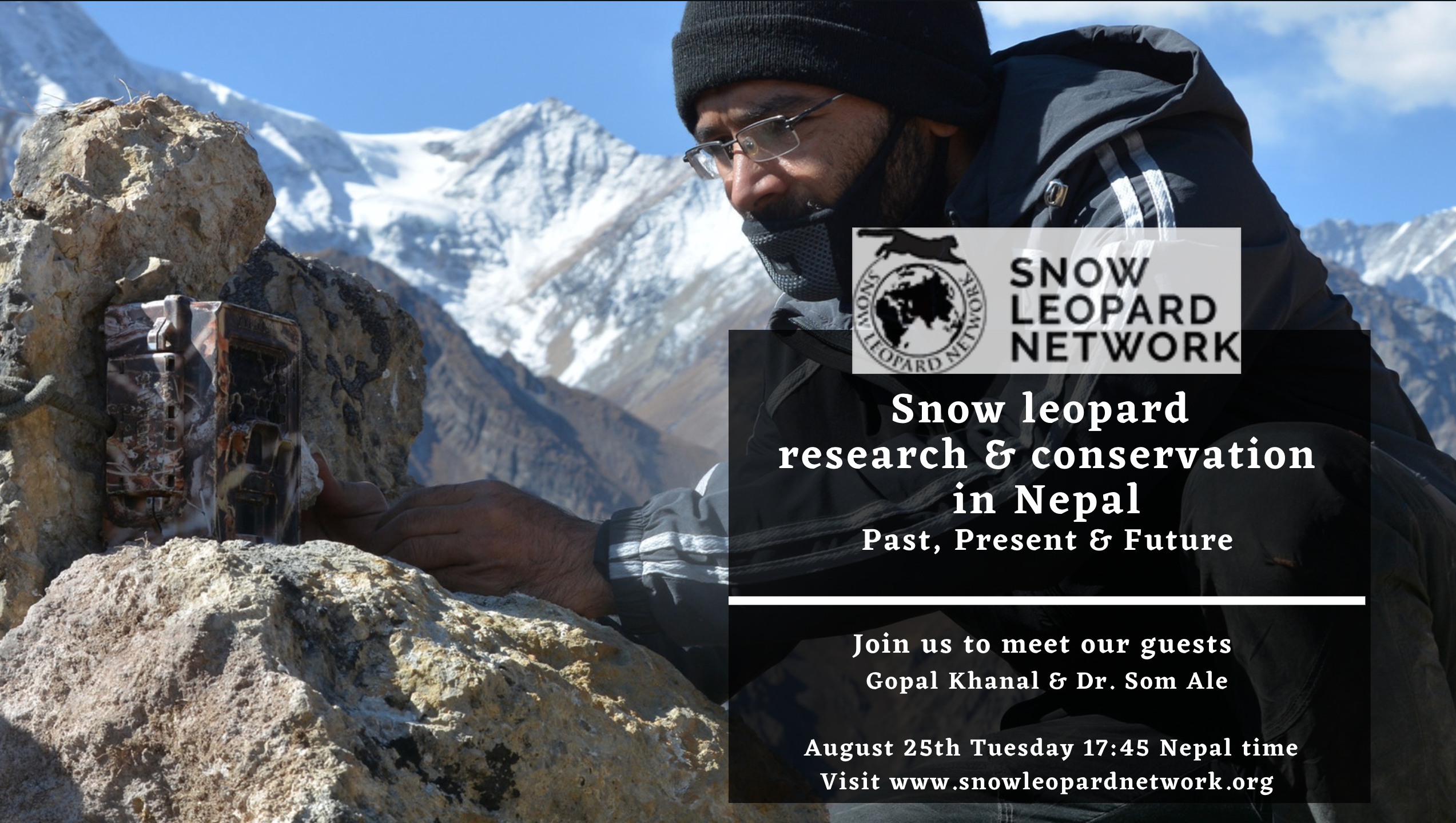 Snow leopard research and conservation in Nepal: Past, Present and Future