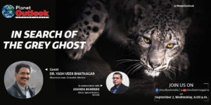 In Search of the Grey Ghost - Planet Outlook Lecture Series