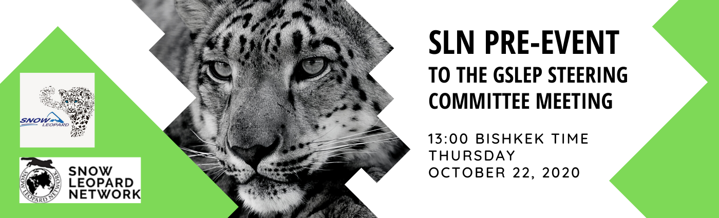 SLN Pre-Event to the GSLEP Steering Committee Meeting