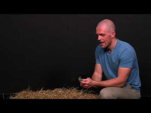 The Mountain Ghost: Science of Snow Leopards with Dr Jonny Hanson