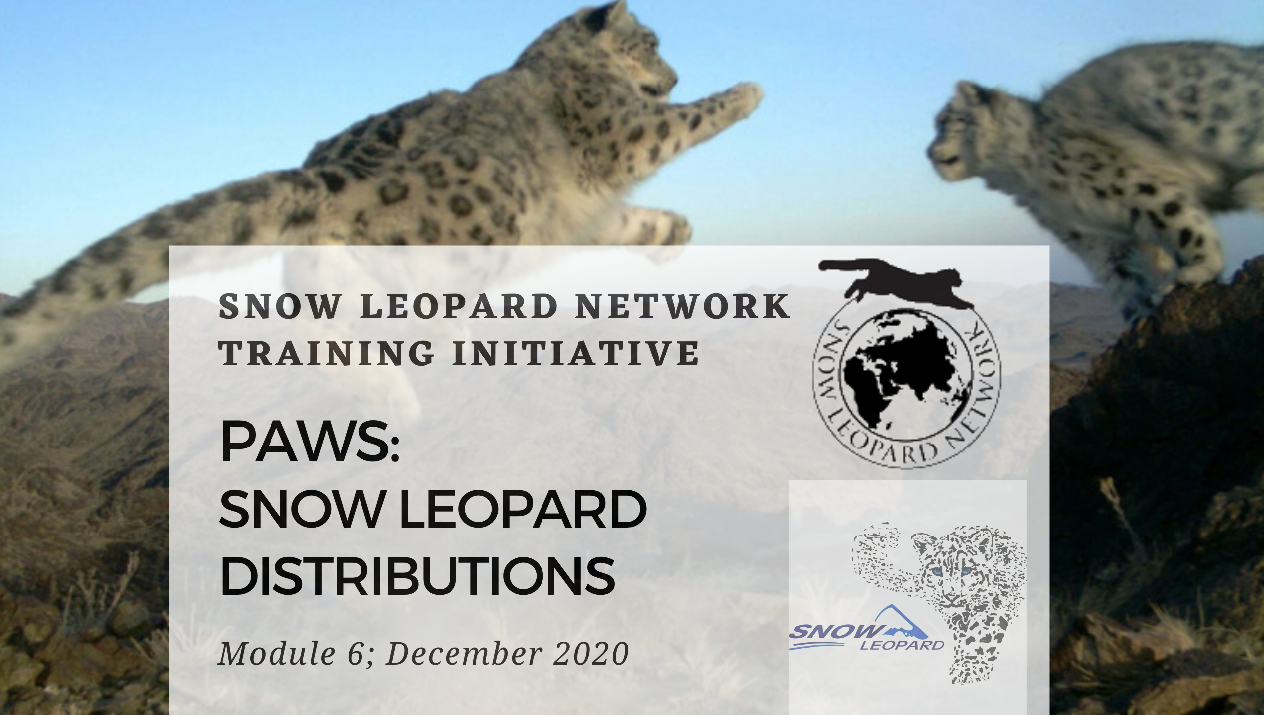 Module 6: PAWS Snow Leopard Distributions