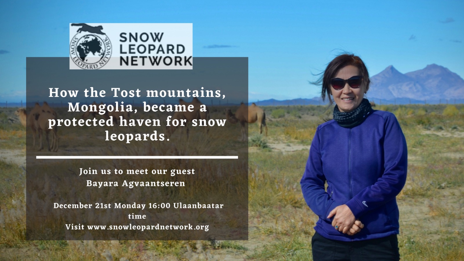 SLN Webinar: How the Tost mountains, Mongolia became a protected haven for snow leopards