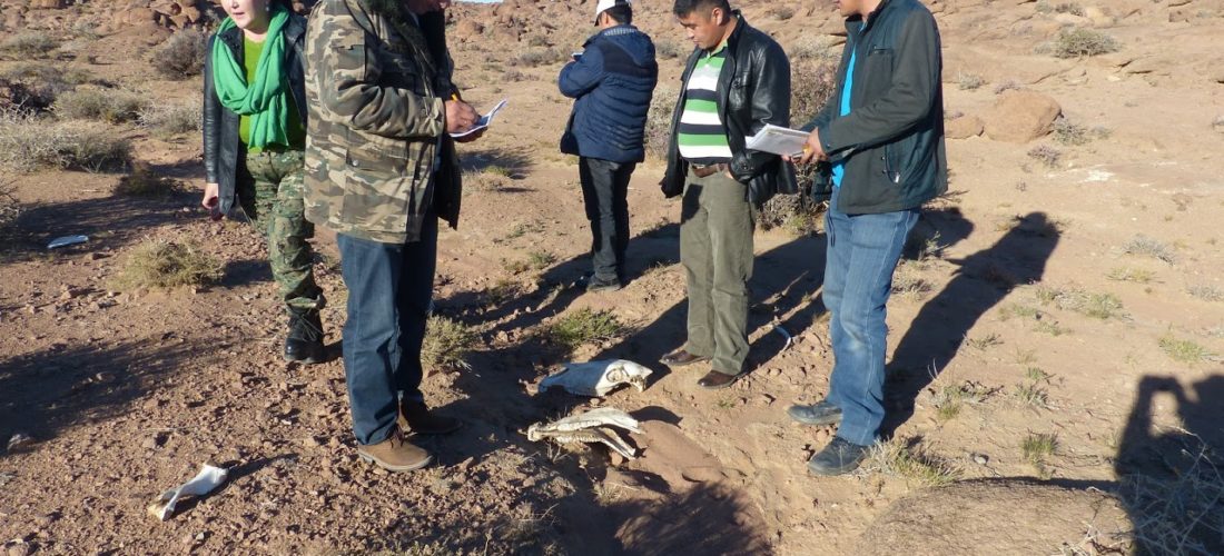 Session 1: Overview of the Spatial Monitoring and Reporting Tool (SMART) and how it works