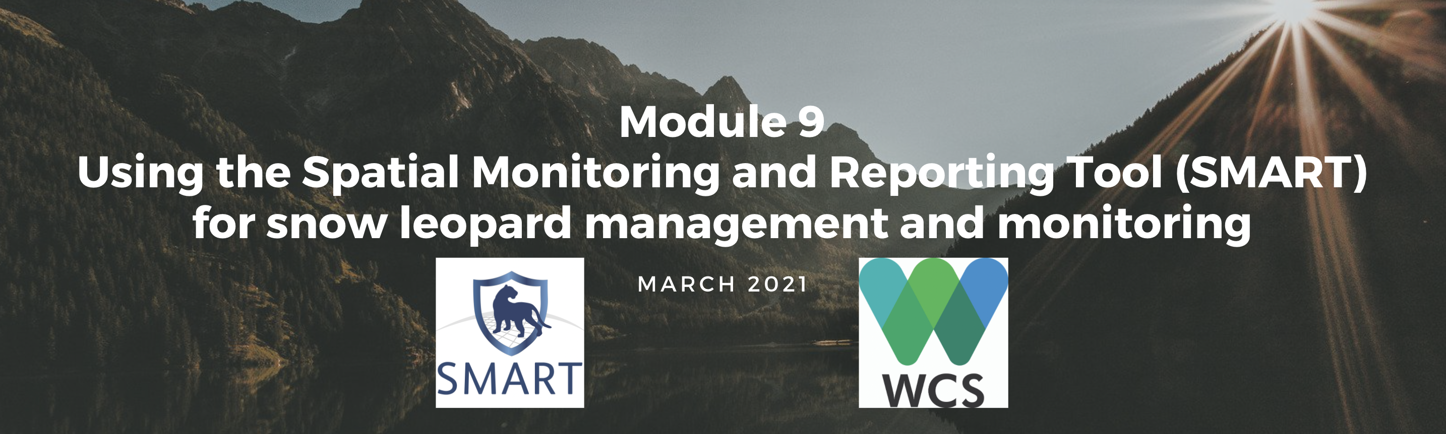 Module 9: Using the Spatial Monitoring and Reporting Tool (SMART) for snow leopard management and monitoring