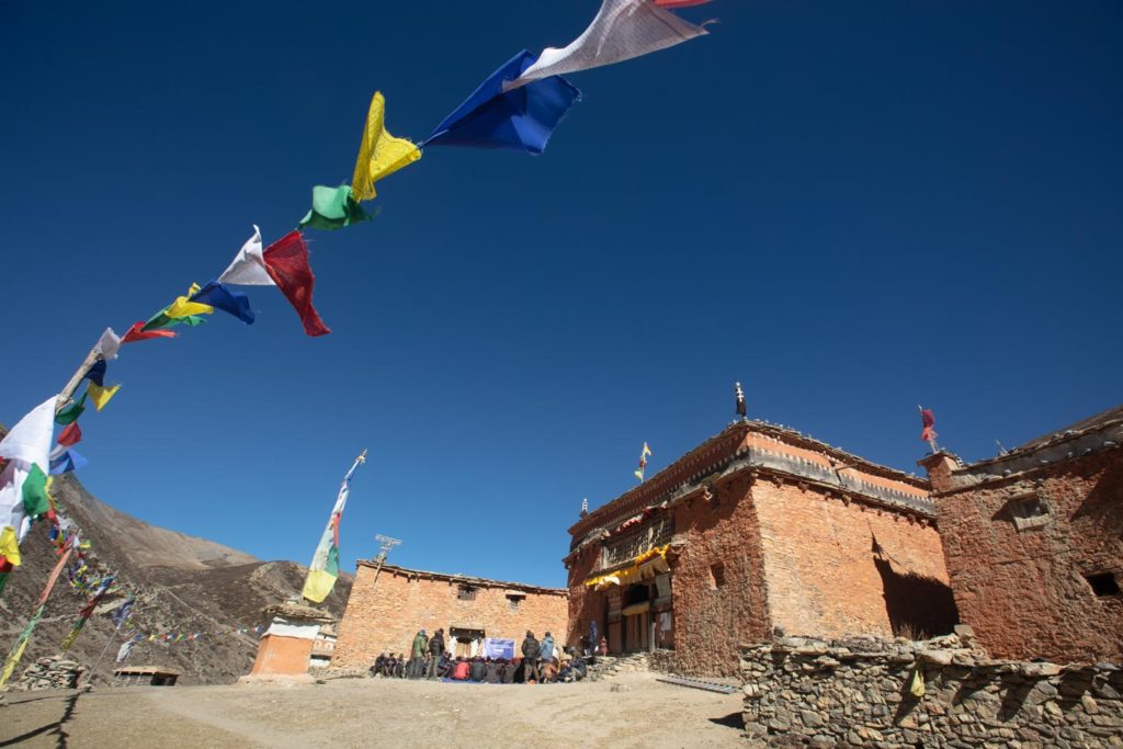 Snow leopards in Nepal: Satellite Telemetry Update