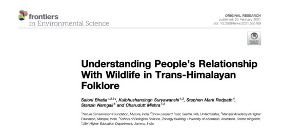 New Article to the Bibliography