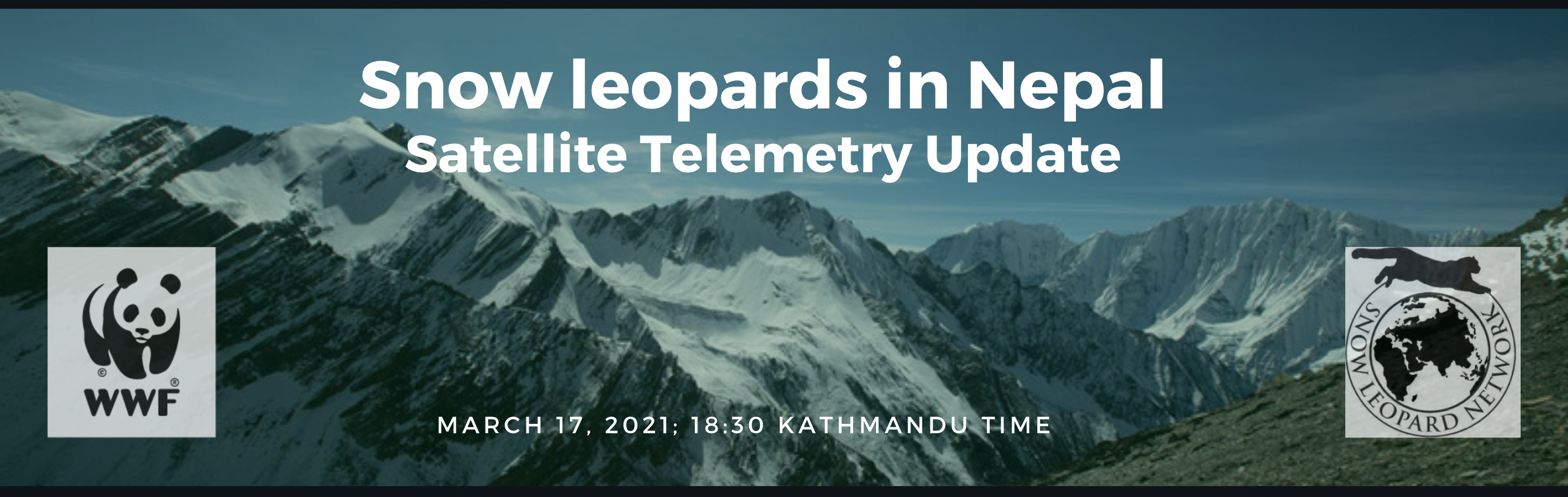 Snow leopards in Nepal: Satellite Telemetry Update