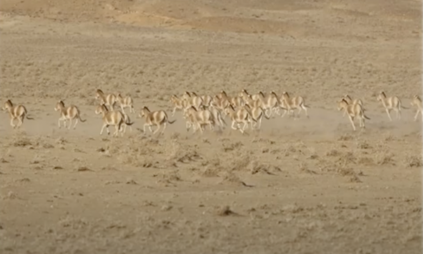 Session 3: Using SMART tools to collect  field data