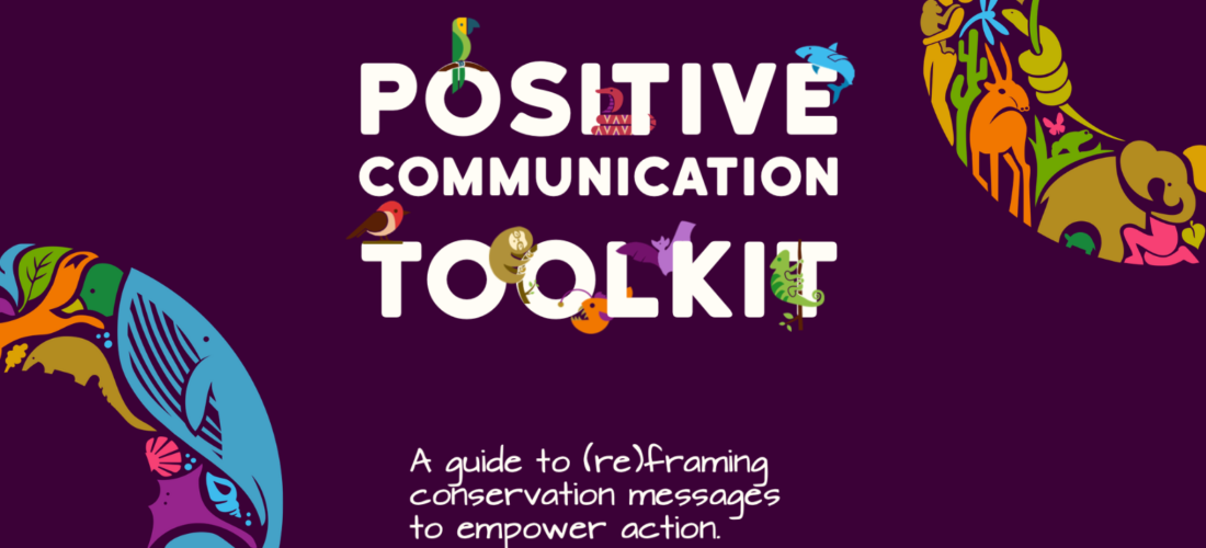 Session 4: Conservation Optimism