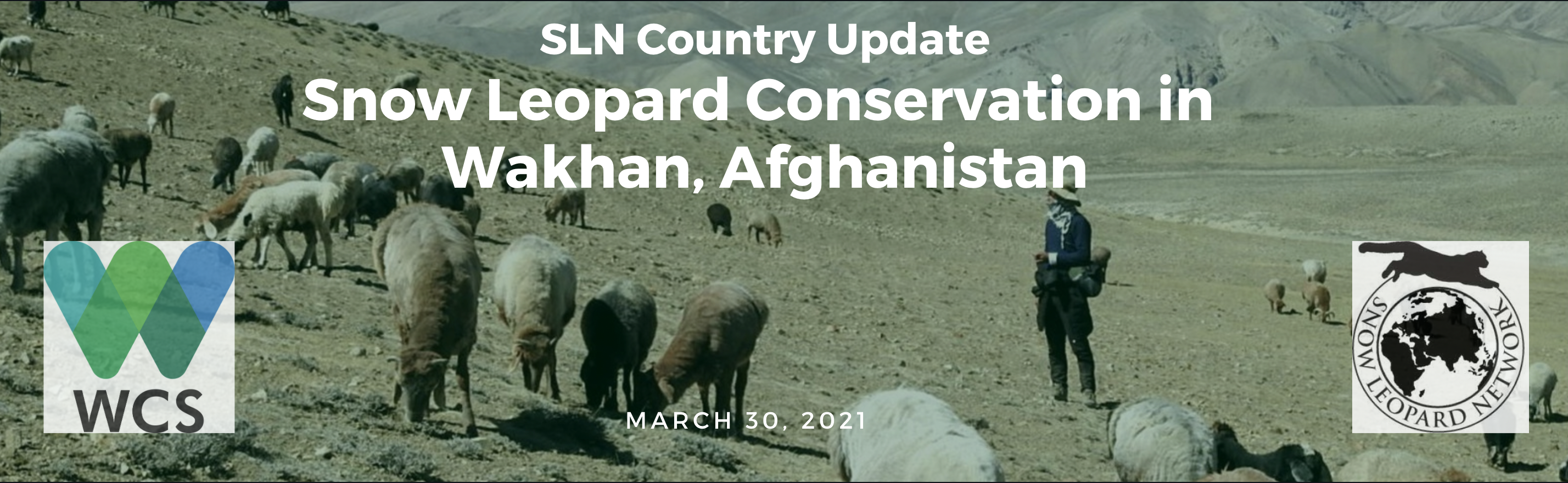 Country Update: Snow Leopard Conservation in Wakhan, Afghanistan