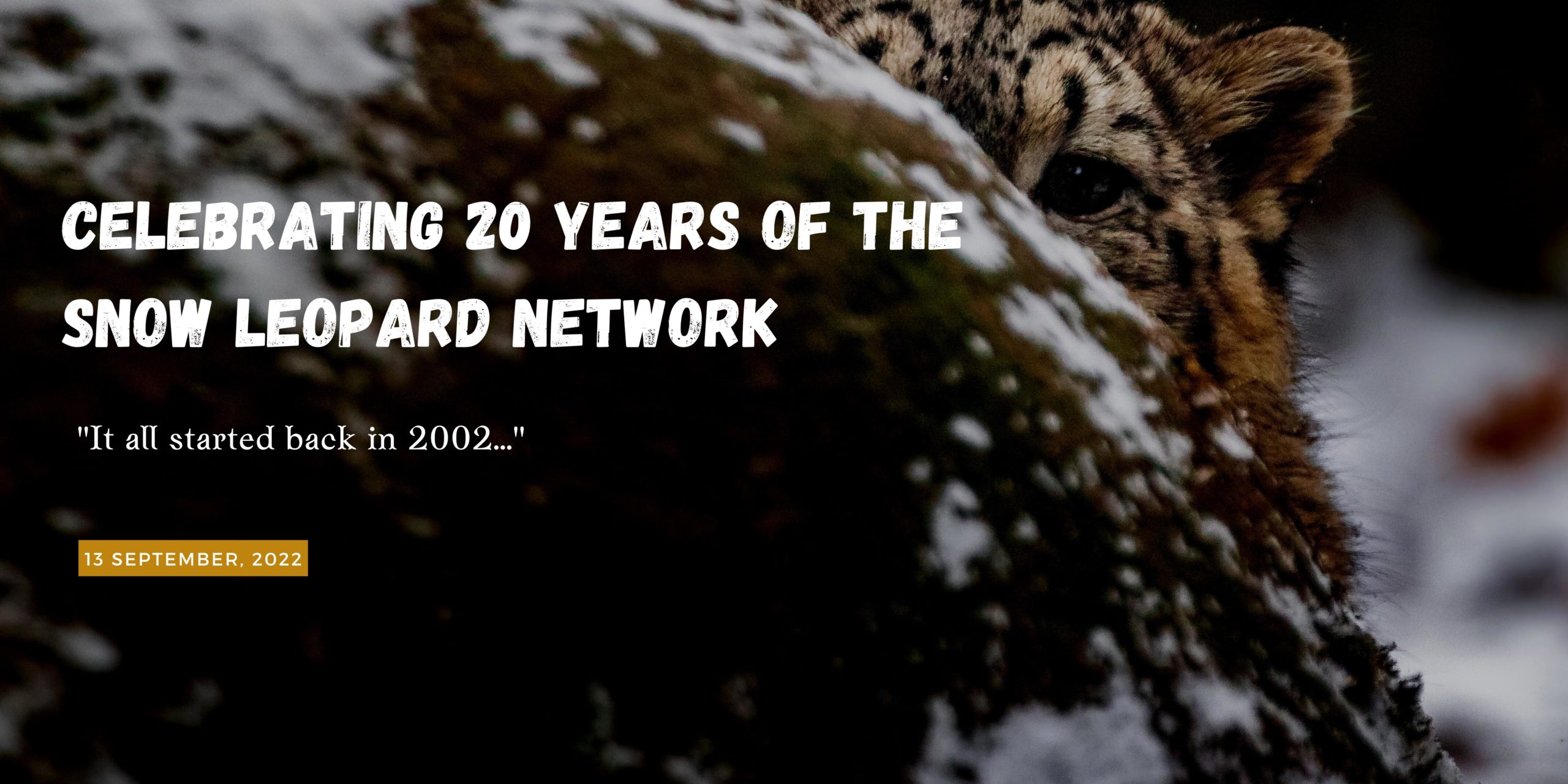 Celebrating 20 years of the Snow Leopard Network