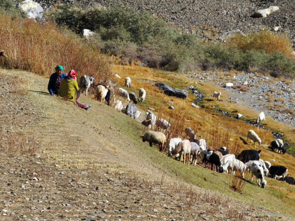 Week 2: Climate Change 