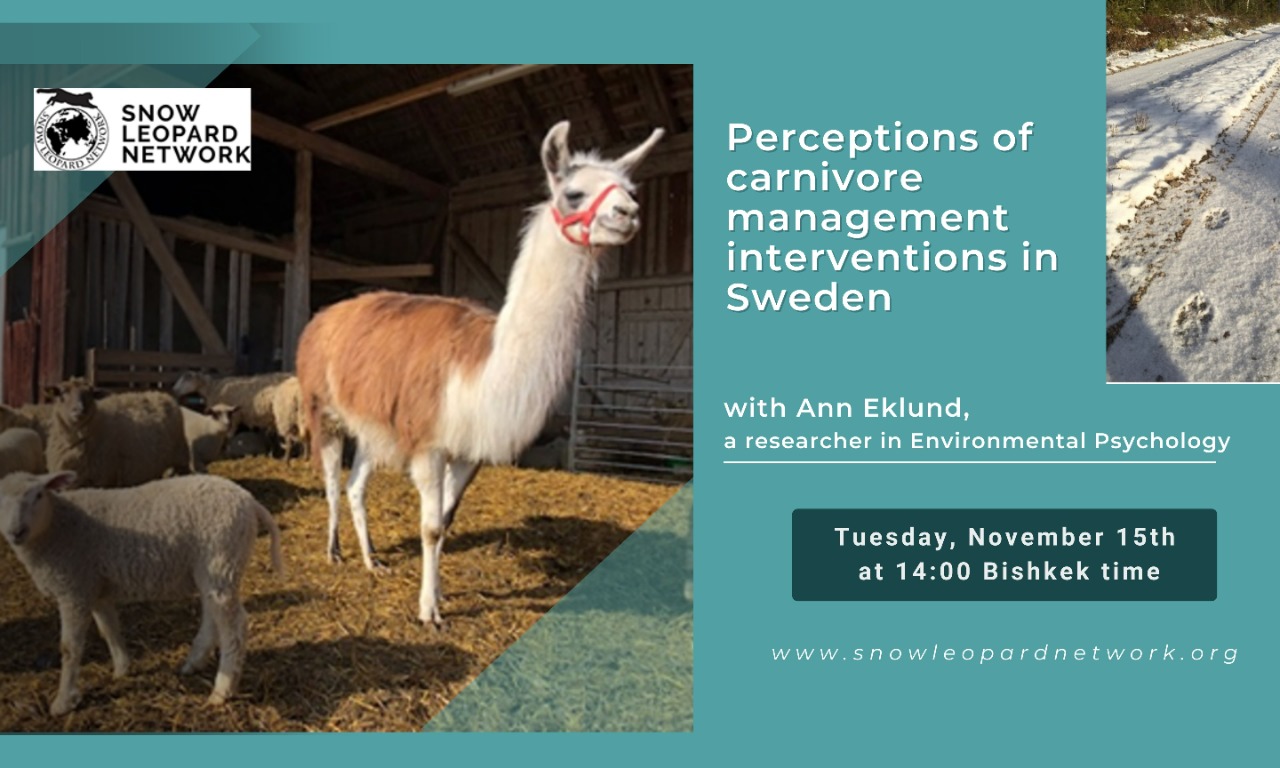 SLN Webinar - Perceptions of carnivore management interventions in Sweden and wildlife conflicts from the perspective of the individual.