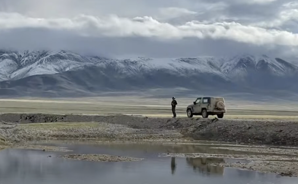 Snow leopards & China