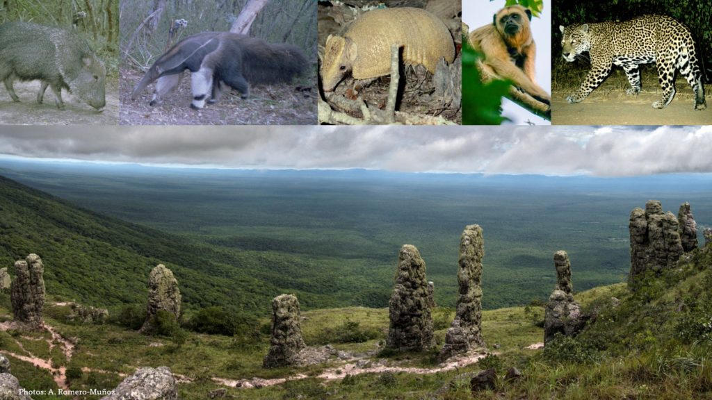 Understanding geographies of threat