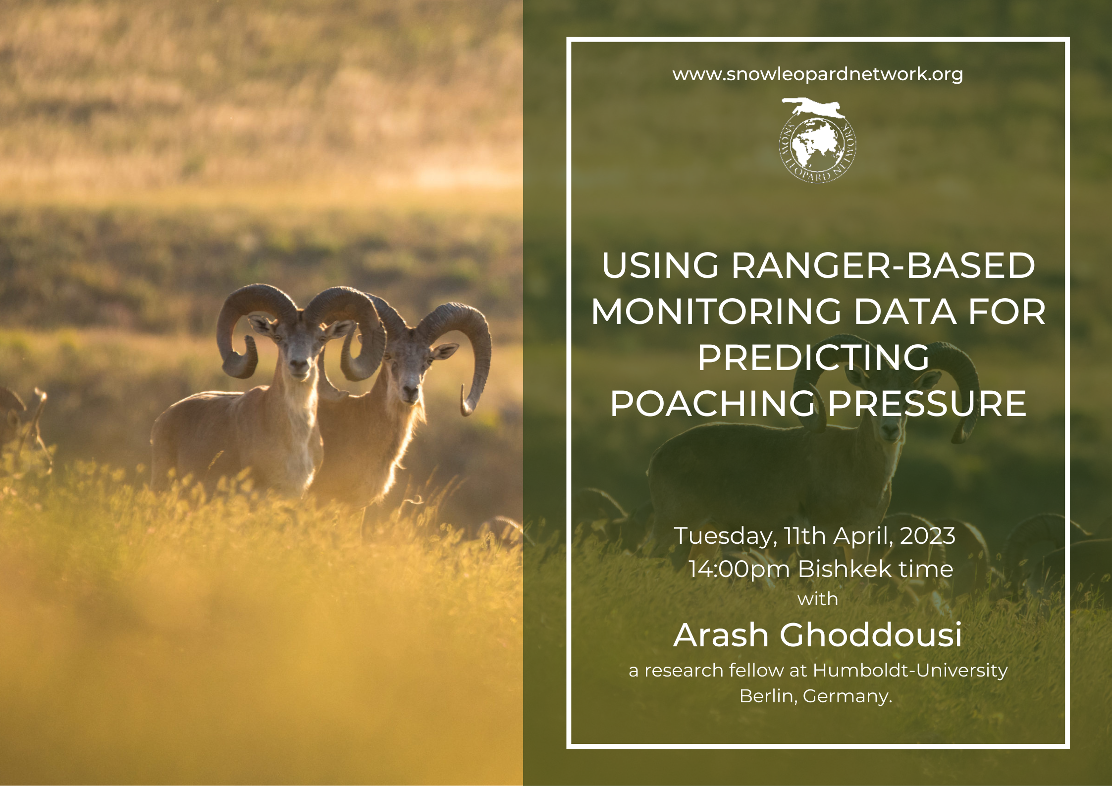 SLN Webinar: Using ranger-based monitoring data for predicting poaching pressure