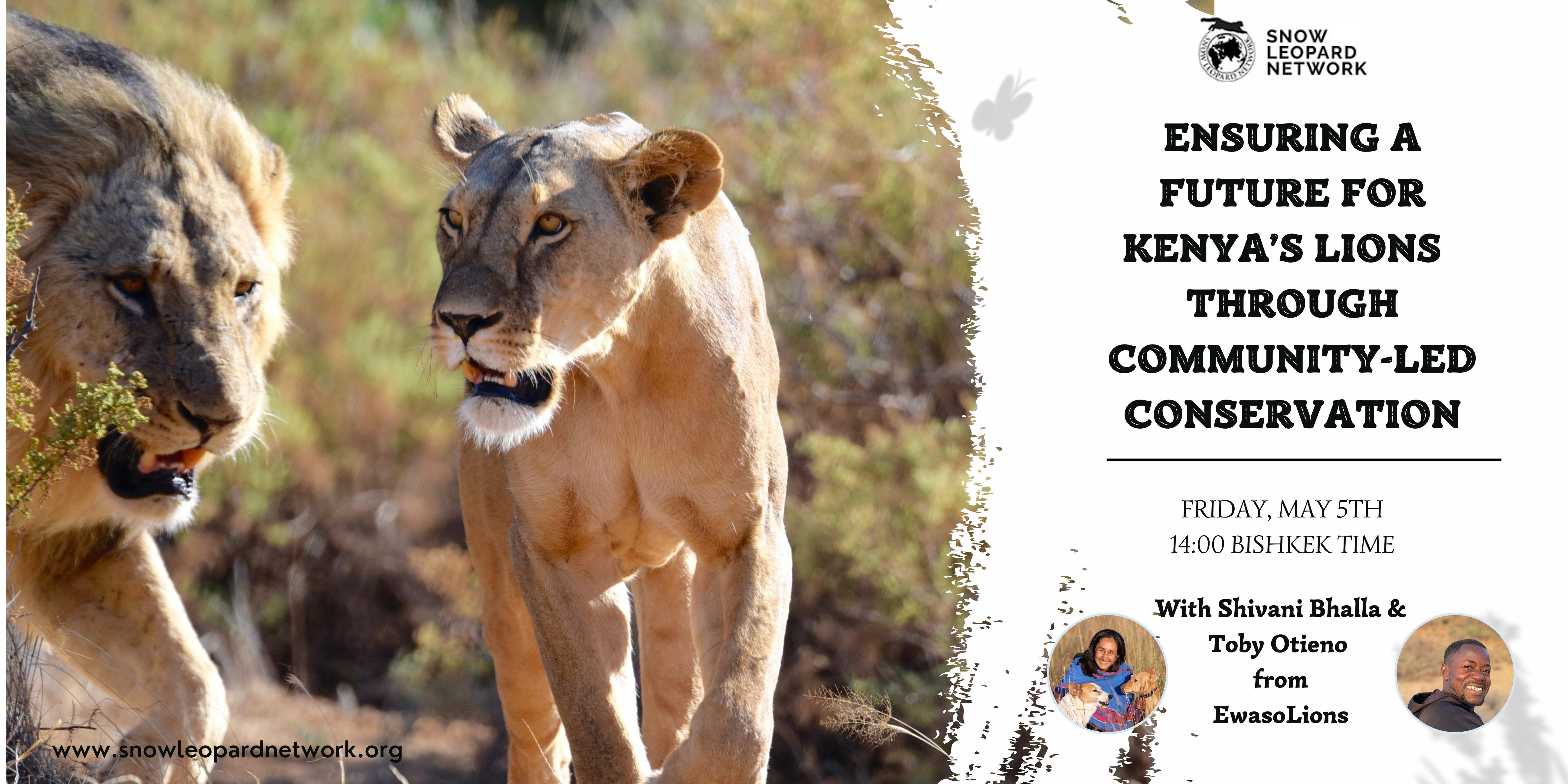 SLN Webinar: Ensuring a future for Kenya’s lions & other large carnivores through community-led conservation