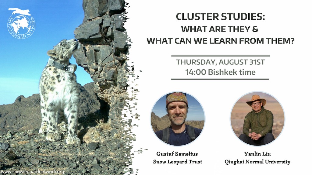 SLN Webinar: Cluster studies – What are they and what can we learn from them?