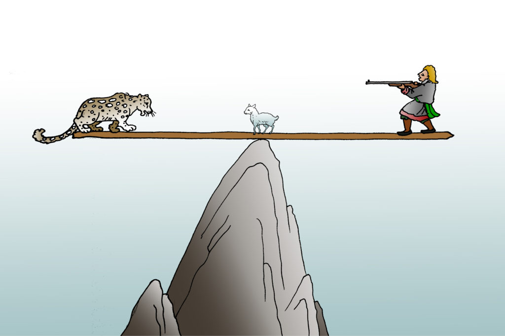 Snow Leopards and Tibetan Herders: Coexistence from a Cultural Perspective