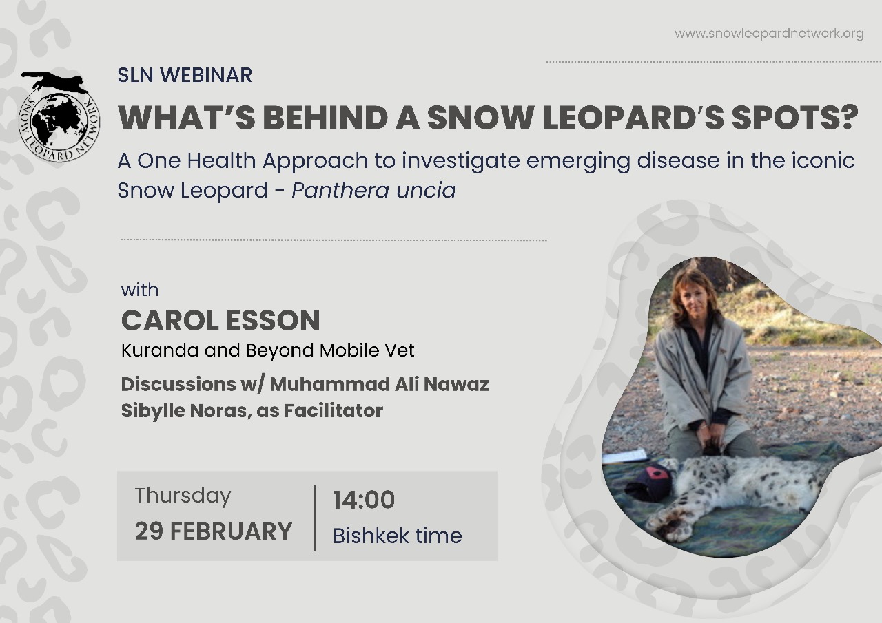 SLN Webinar: What’s behind a Snow Leopards Spots? A One Health Approach to investigate emerging disease in the iconic Snow Leopard-Panthera uncia