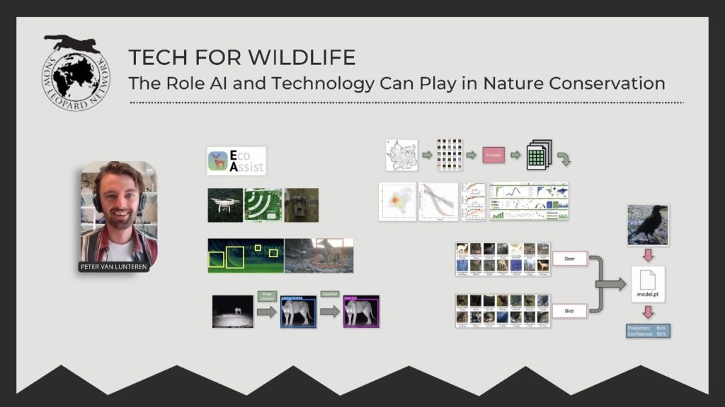 Tech for wildlife: The role AI and technology can play in nature conservation