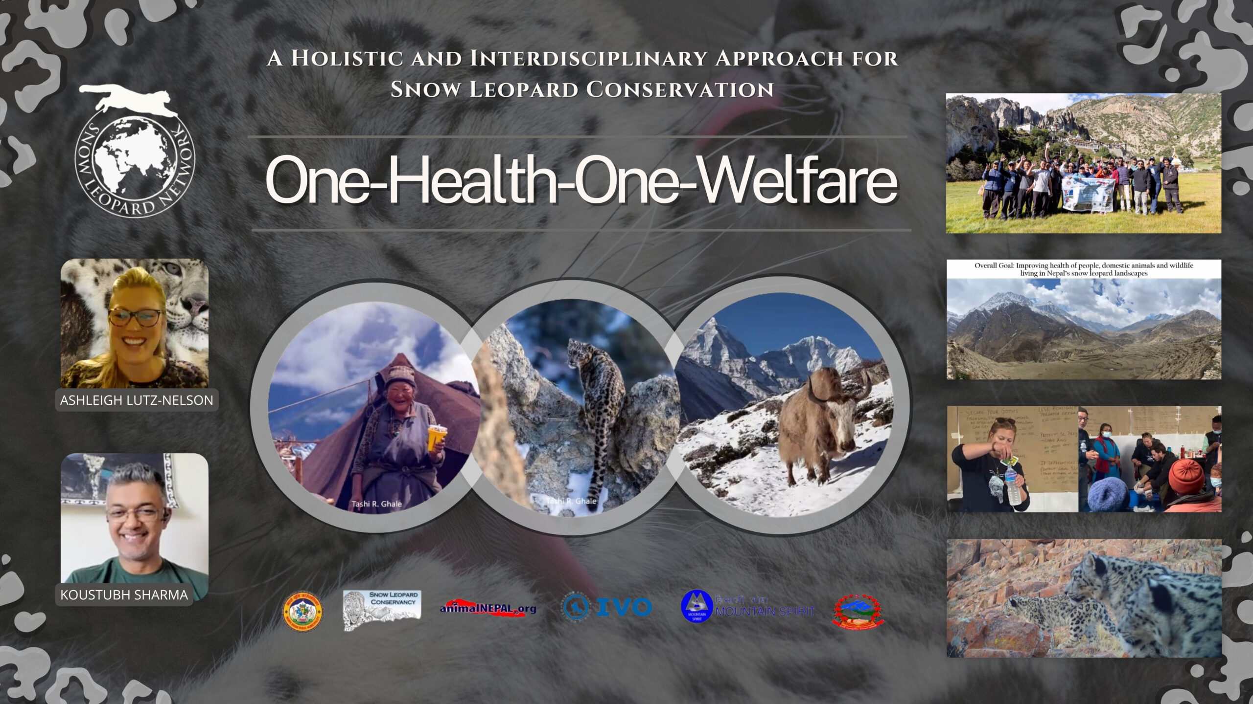 One-Health-One-Welfare: A Holistic and Interdisciplinary Approach for Snow Leopard Conservation