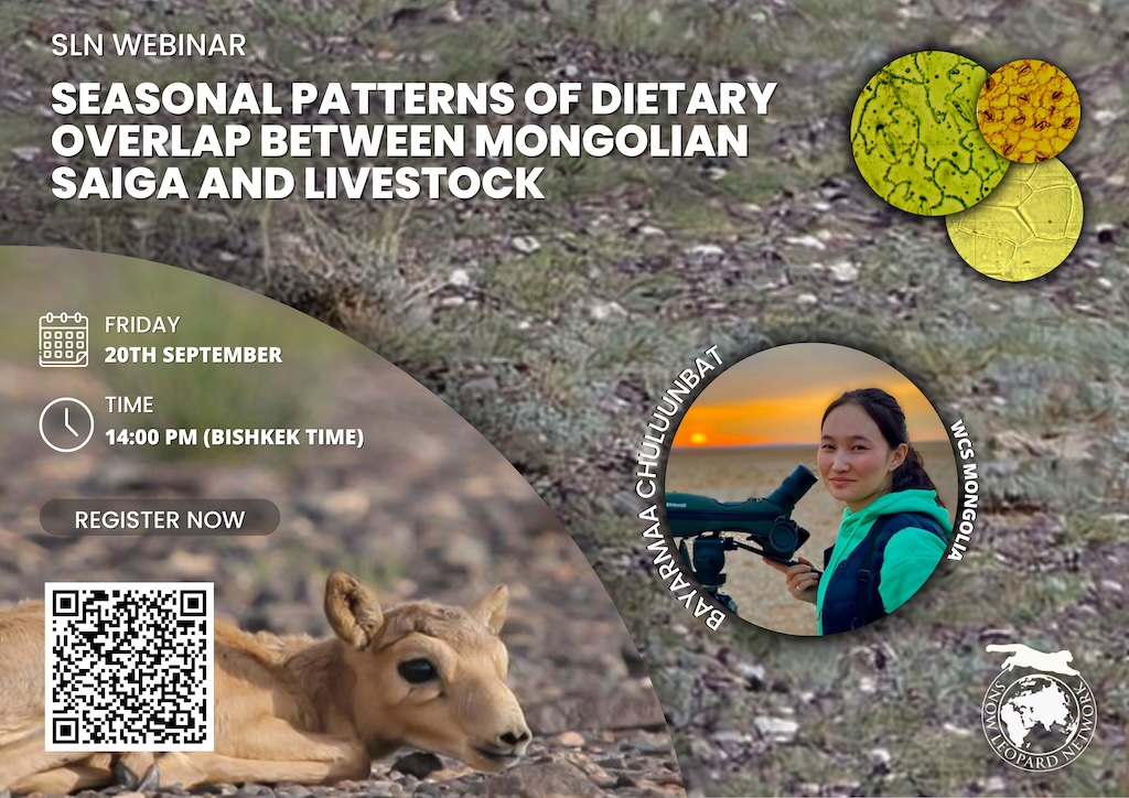 SLN Webinar: Seasonal patterns of dietary overlap between Mongolian saiga and livestock