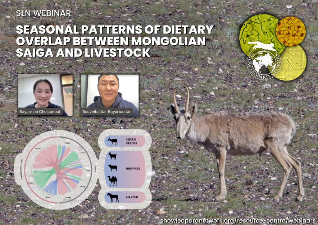 Seasonal patterns of dietary overlap between Mongolian saiga and livestock