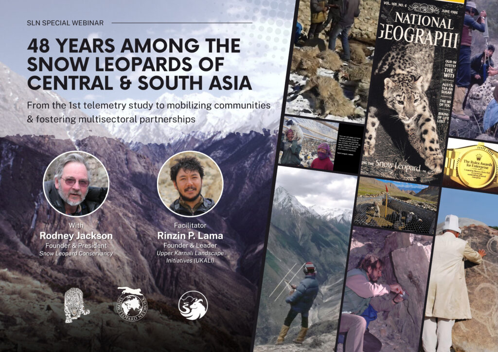 SLN Special Webinar Presentation – Forty-eight Years Among the Snow Leopards of Central and South Asia: from the first telemetry study to mobilizing communities and fostering multisectoral partnerships.